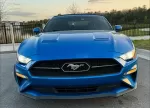 mustang_azul_11.webp