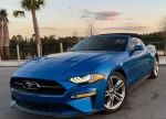 mustang_azul_12.webp