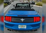 mustang_azul_13.webp