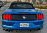 mustang_azul_9.webp