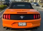 mustang_laranja_2.webp