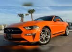 mustang_laranja_3.webp