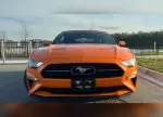 mustang_laranja_4.webp