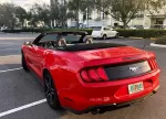 mustang_vermelho_8.webp